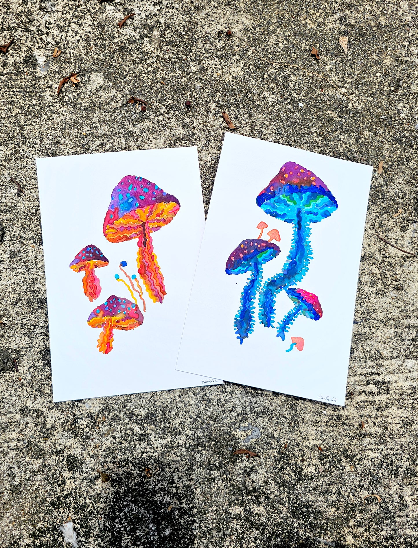 Mushroom Greeting Cards