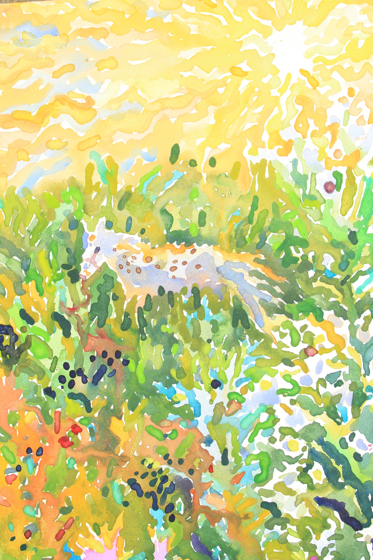 White Horse Watercolor Original Painting by Tanbelia