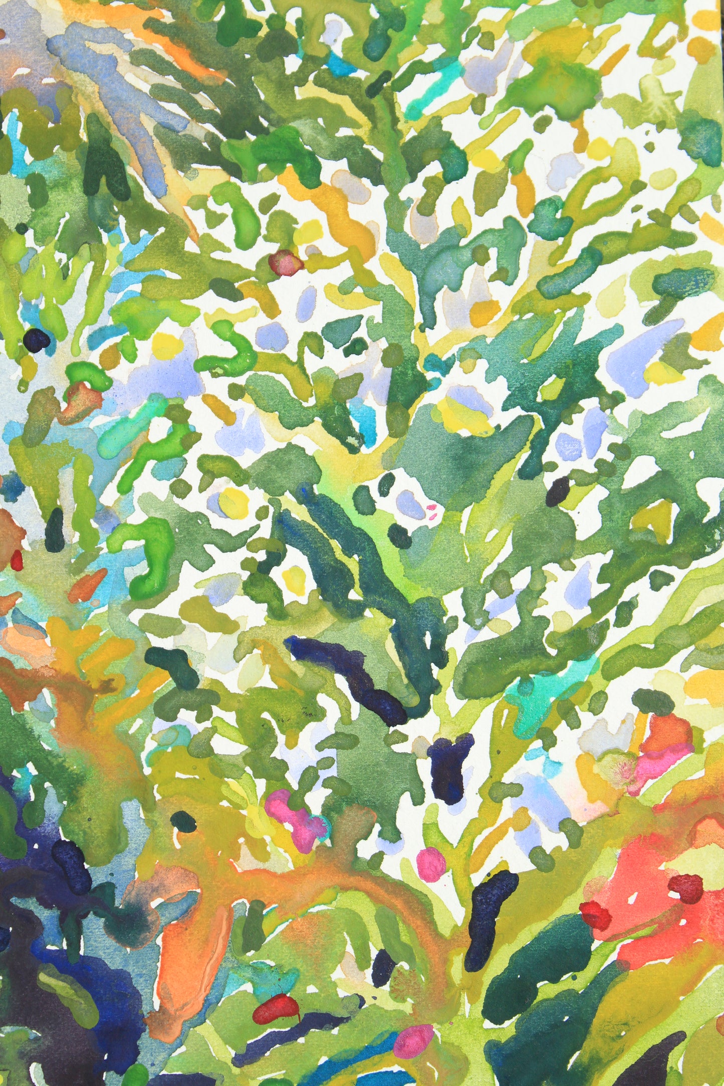 White Horse Watercolor Original Painting by Tanbelia