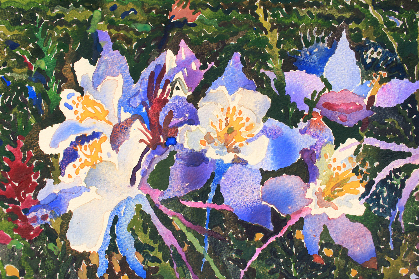 Ridgway State Park in Colorado Print by Tanbelia