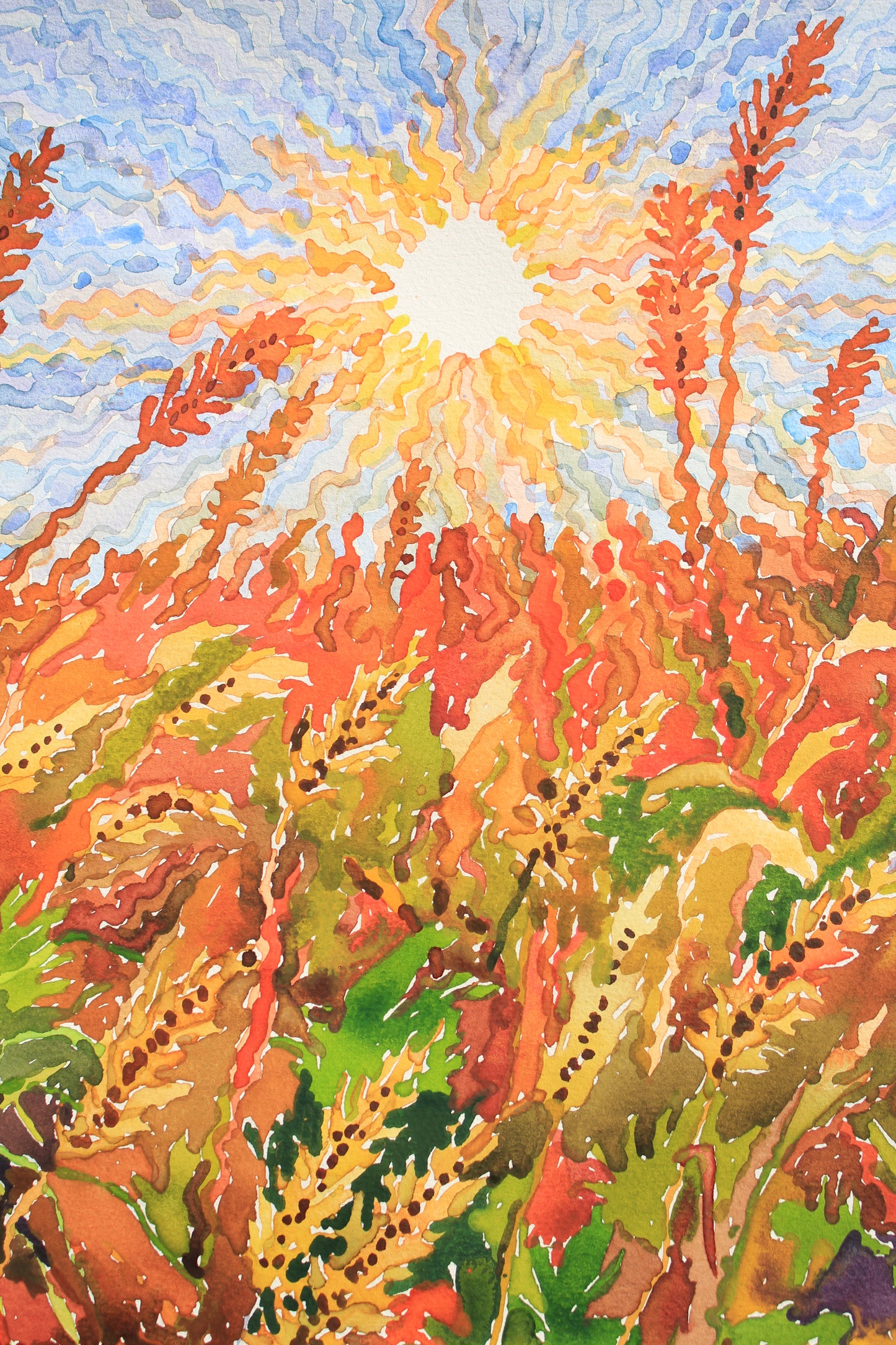 Pumpkin Watercolor Print by Tanbelia