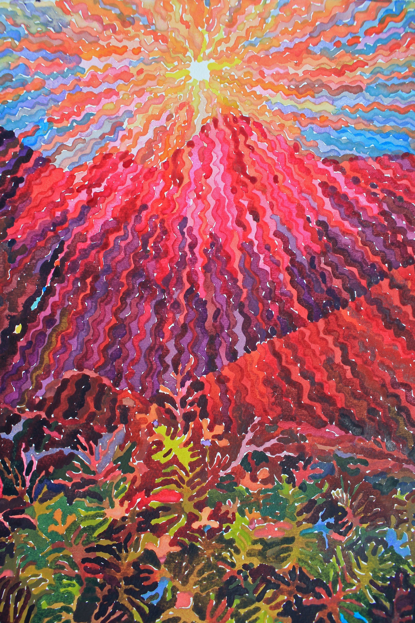 Haleakala National Park in Hawaii Print by Tanbelia