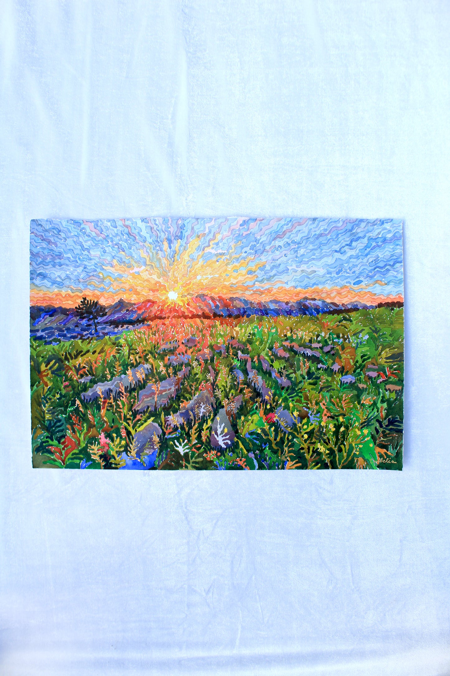 Yorkshire Dales National Park Watercolor Original Painting by Tanbelia