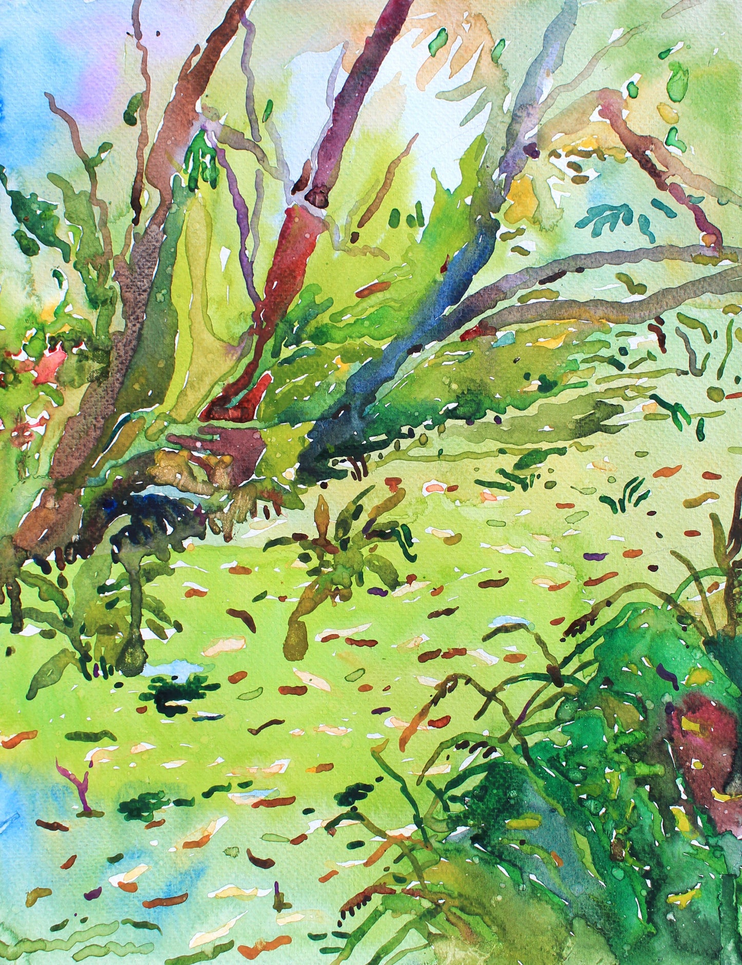 Green River Watercolor Original Painting by Tanbelia
