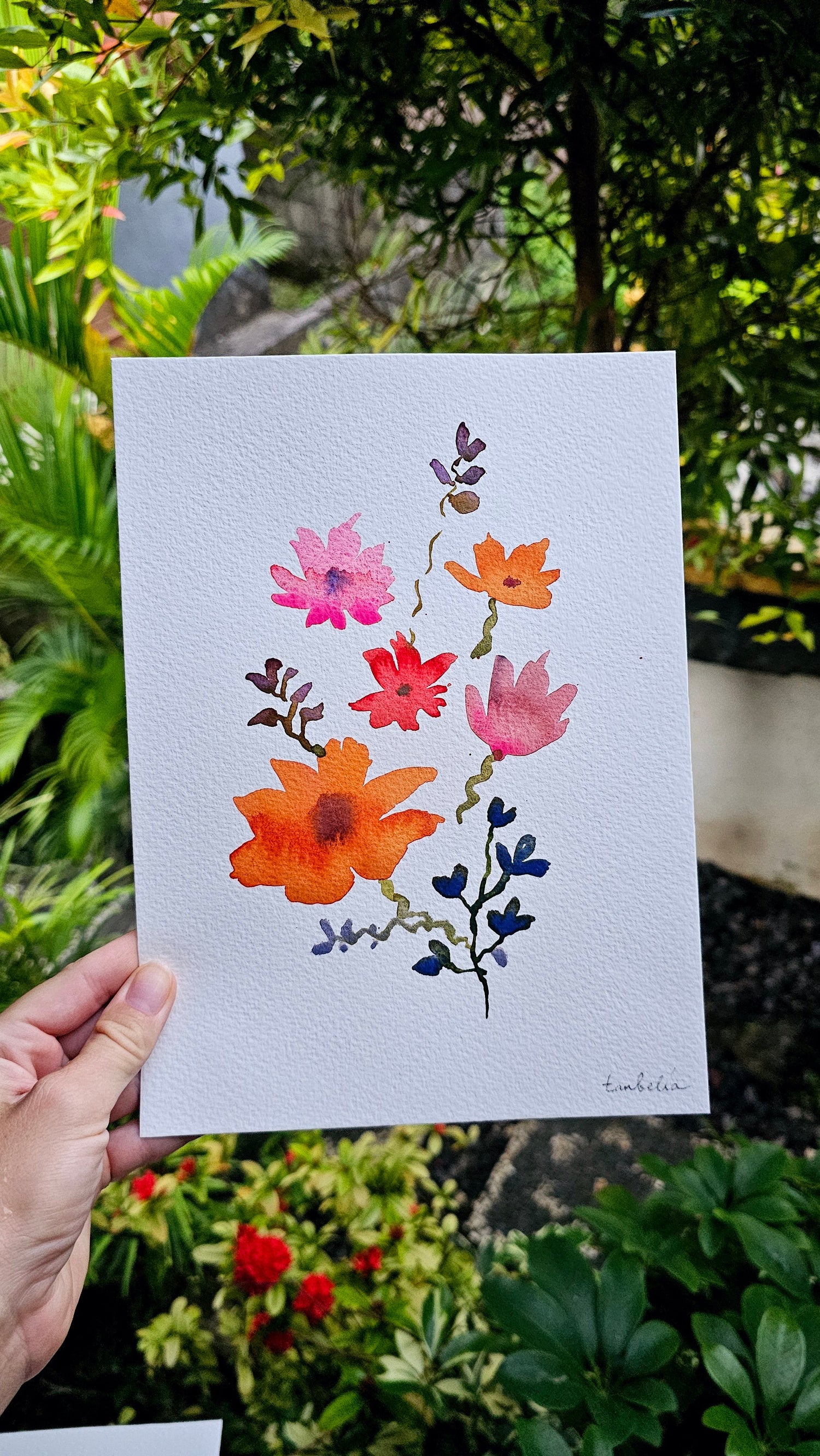 Greeting Cards