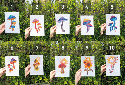 Mushroom Greeting Cards