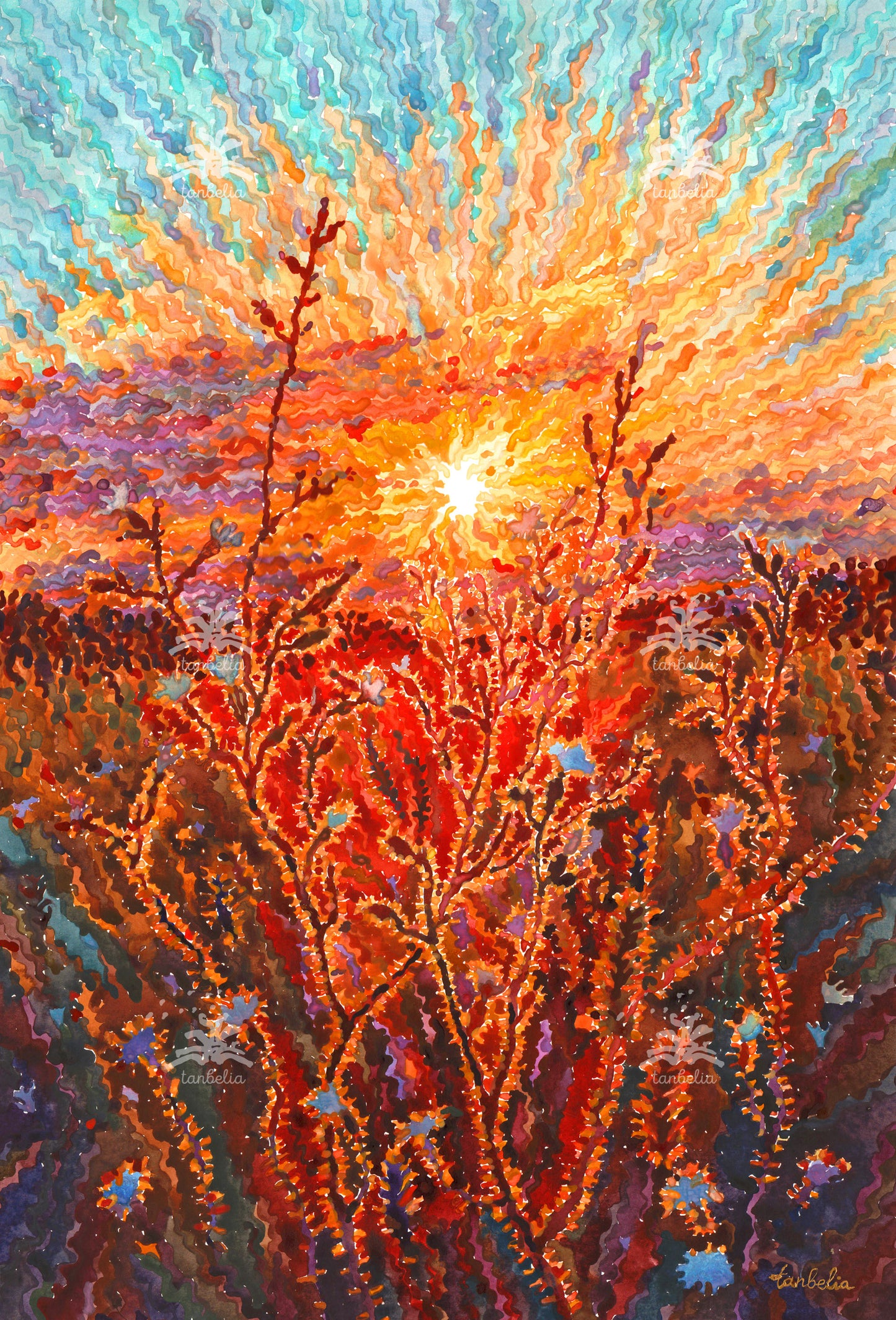 White Campion Flowers Watercolor Painting by Tanbelia