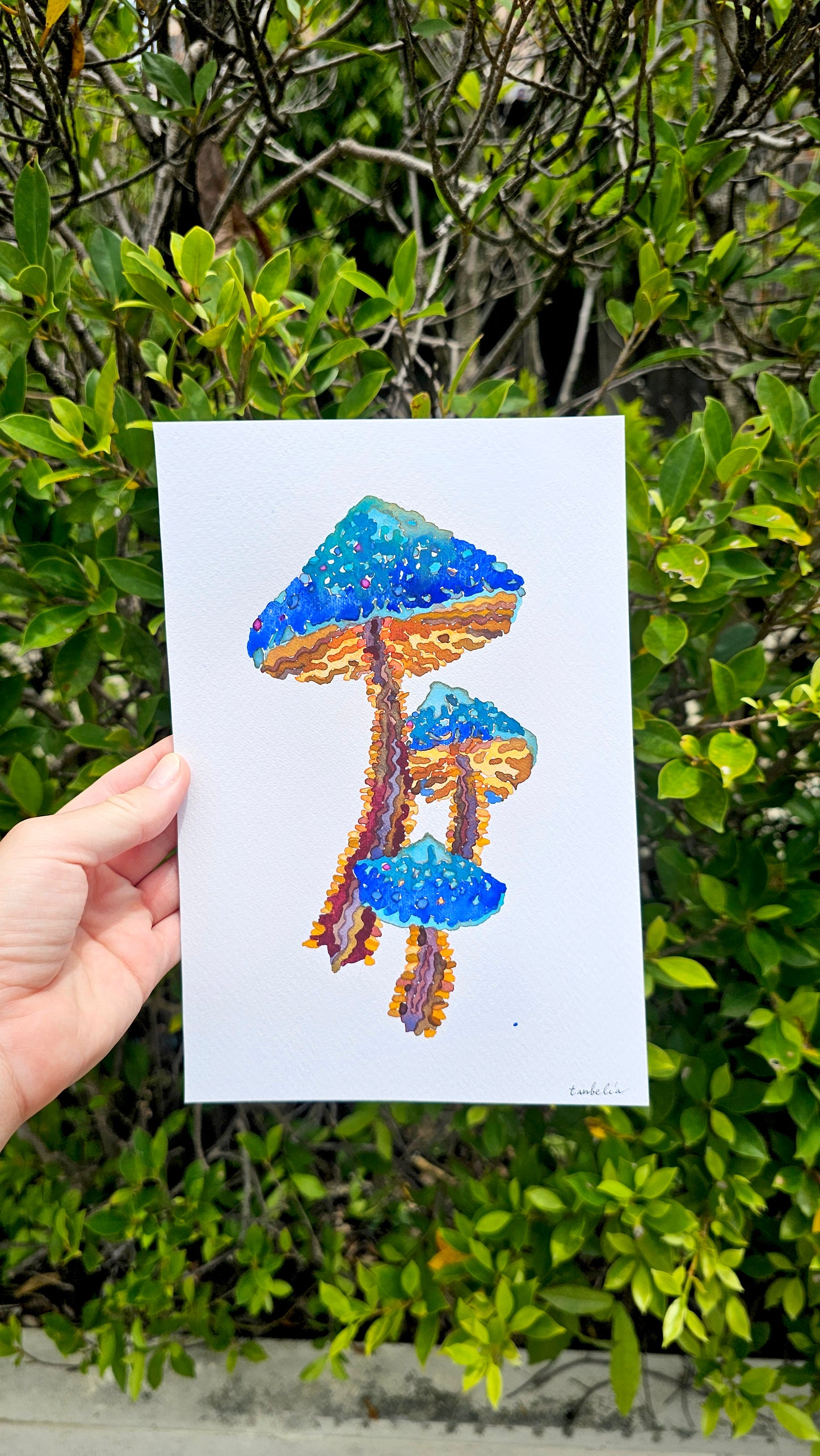 Mushroom Greeting Cards