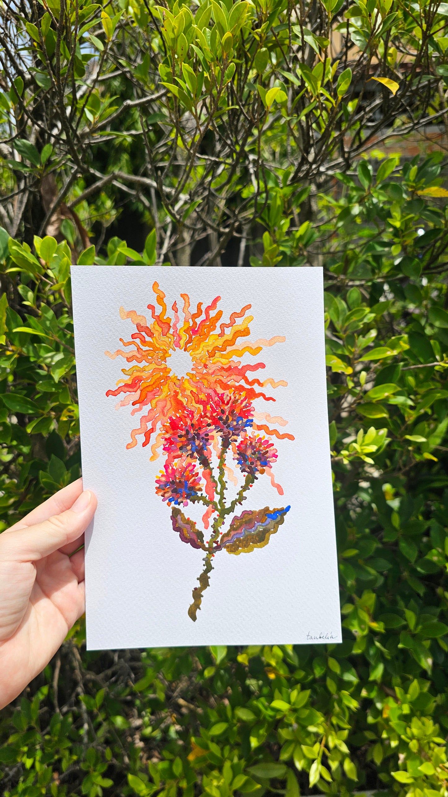 Mushroom Greeting Cards