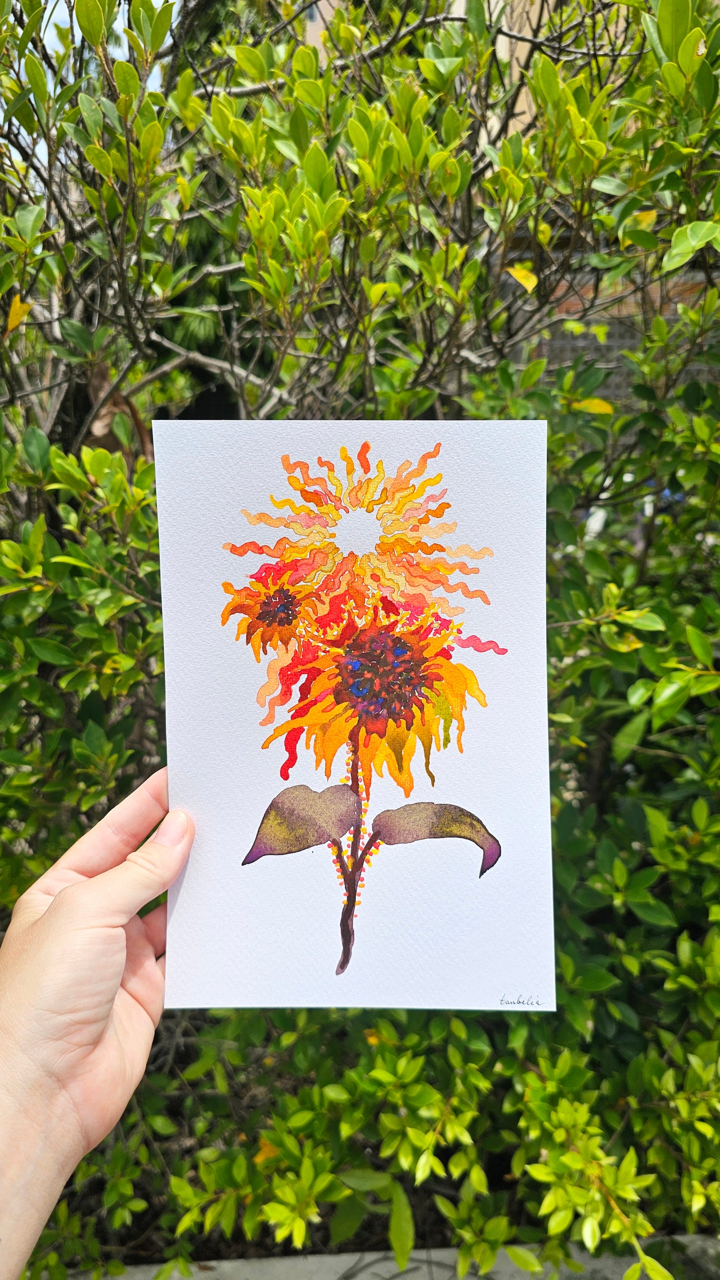 Mushroom Greeting Cards