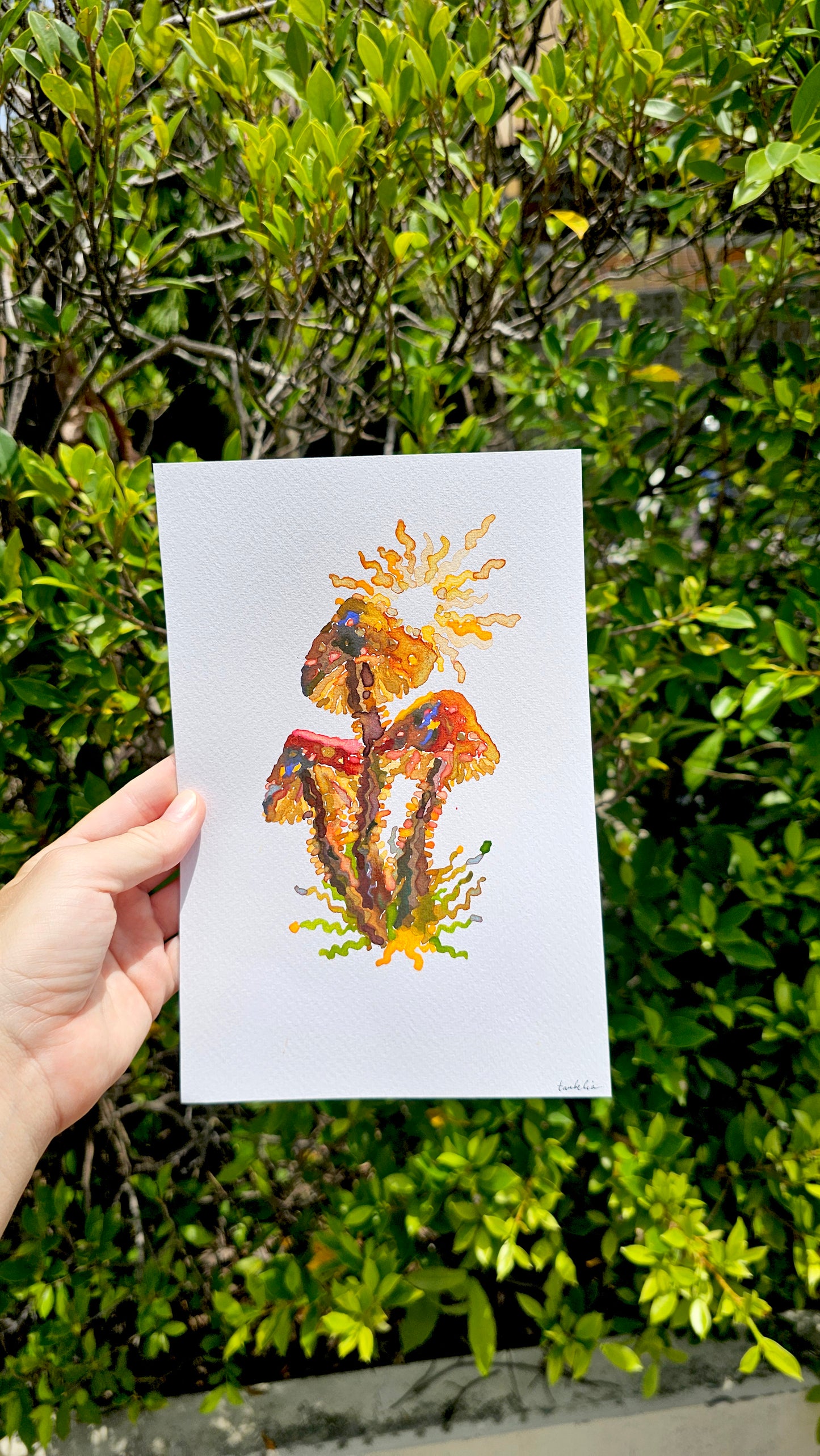 Mushroom Greeting Cards