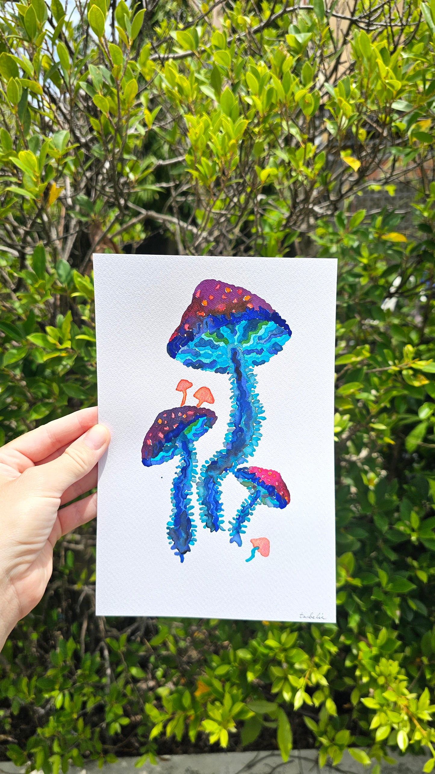 Mushroom Greeting Cards