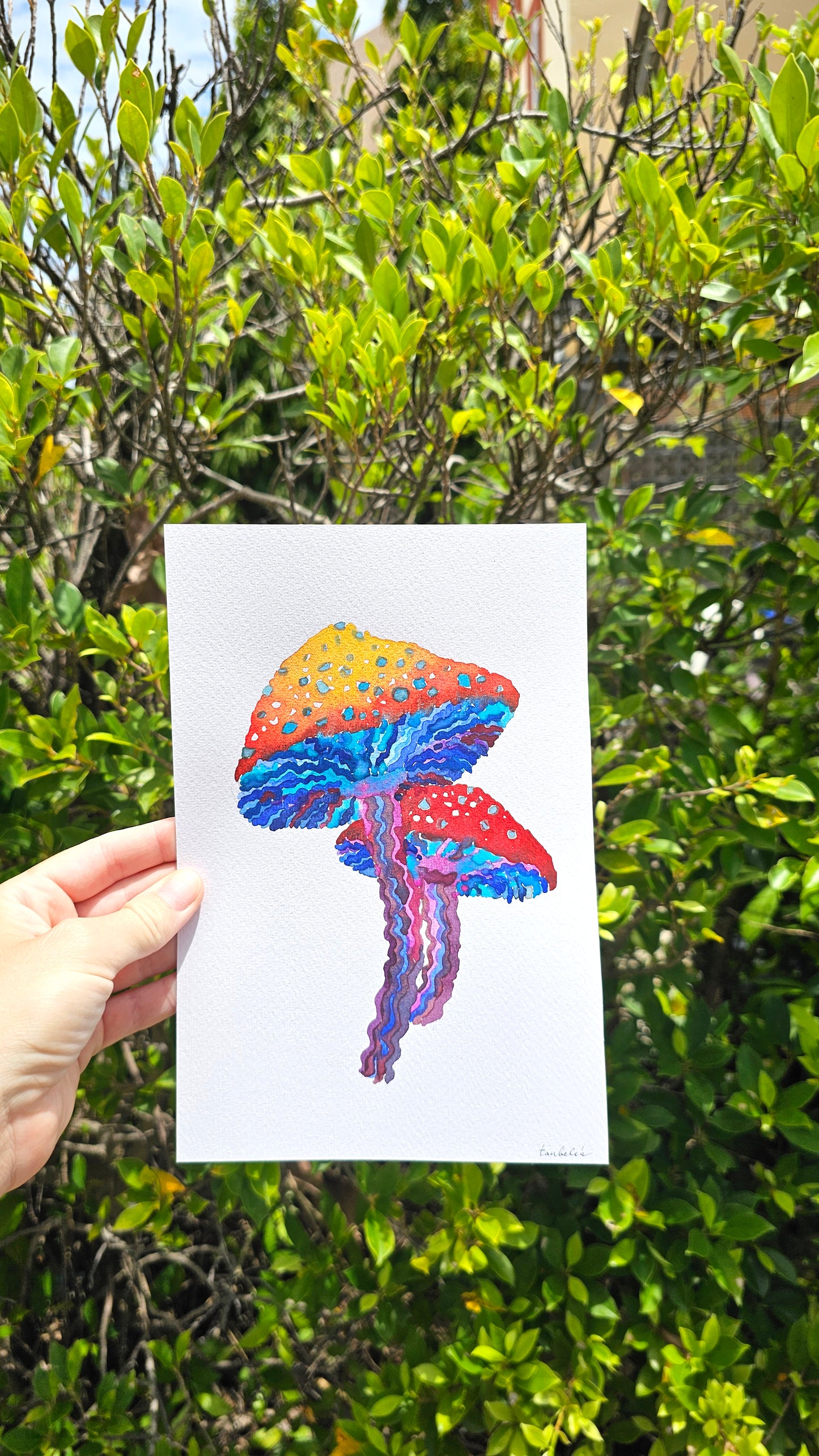 Mushroom Greeting Cards