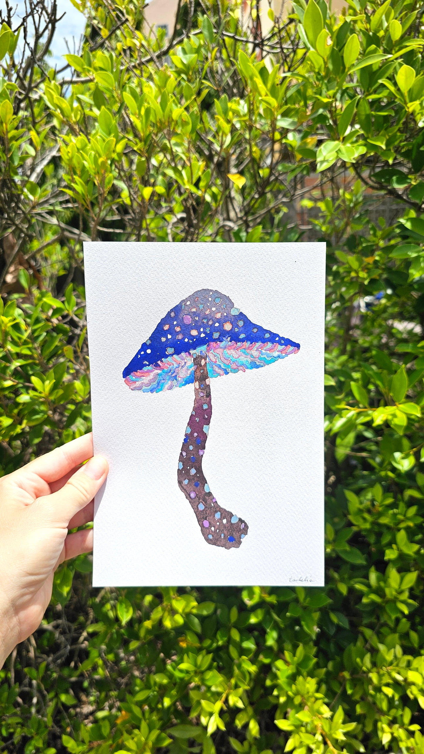 Mushroom Greeting Cards