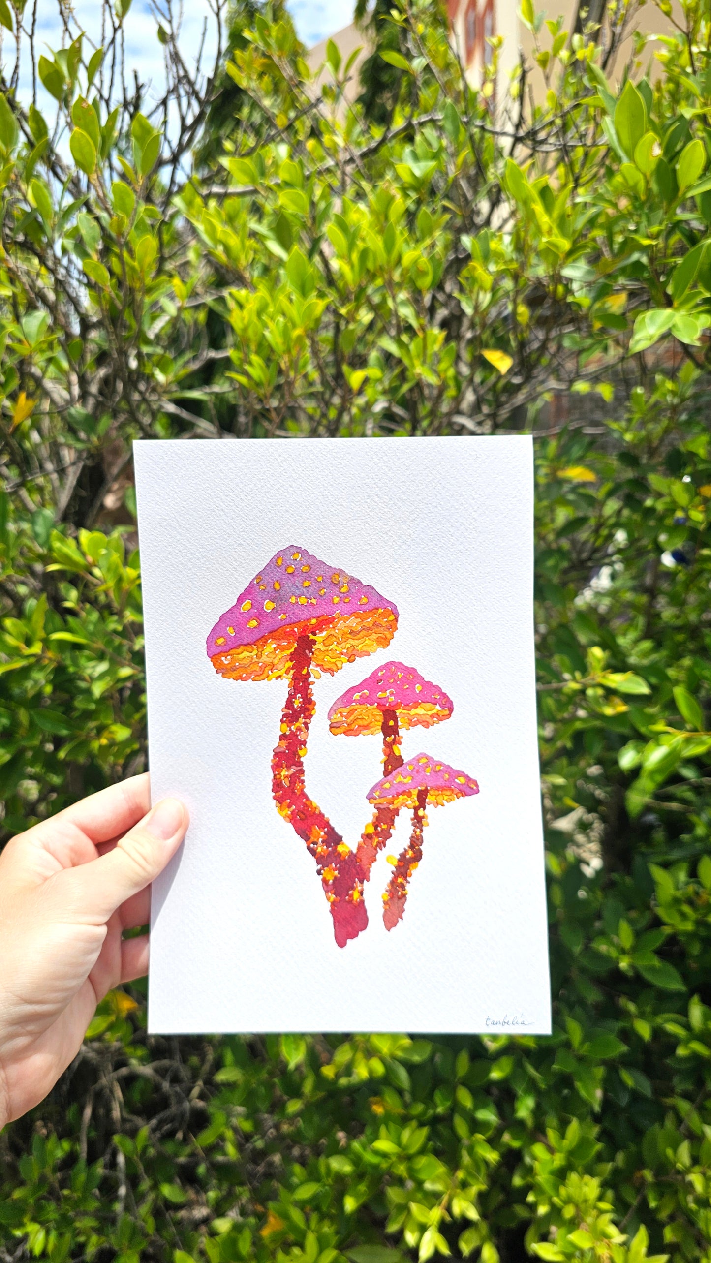 Mushroom Greeting Cards