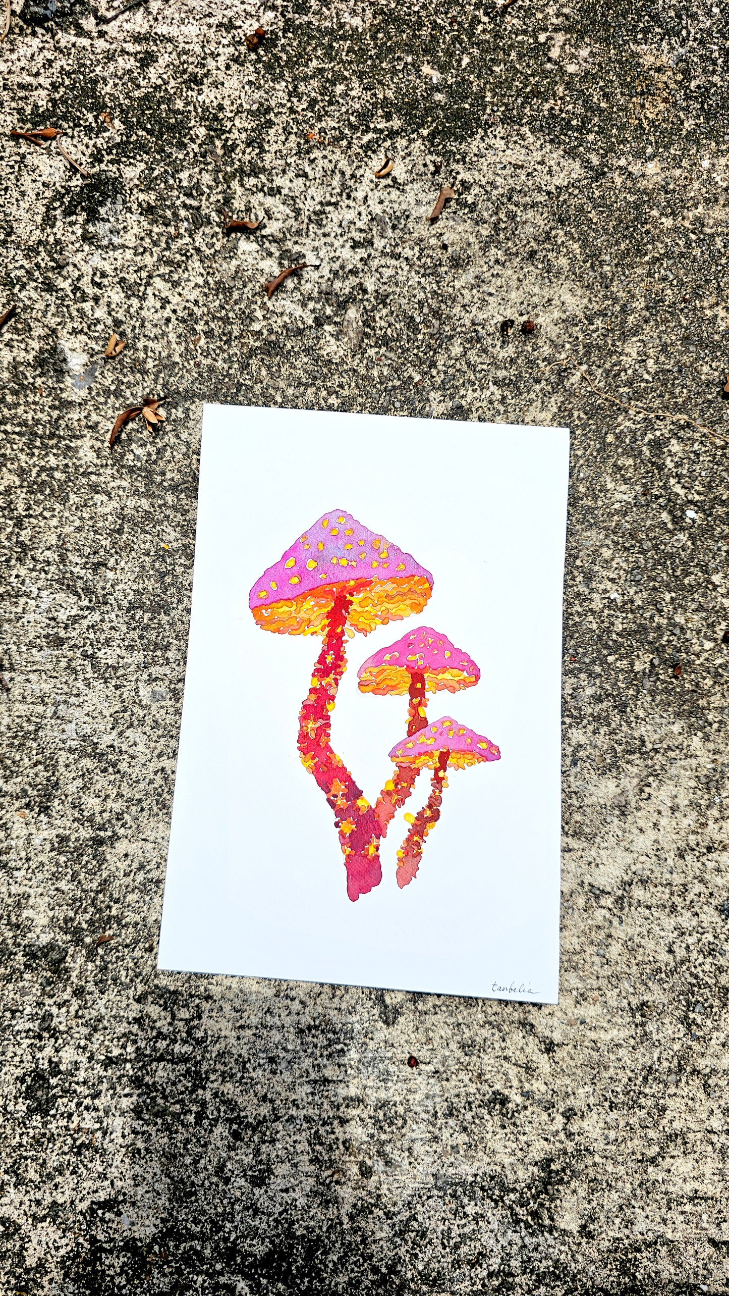 Mushroom Greeting Cards