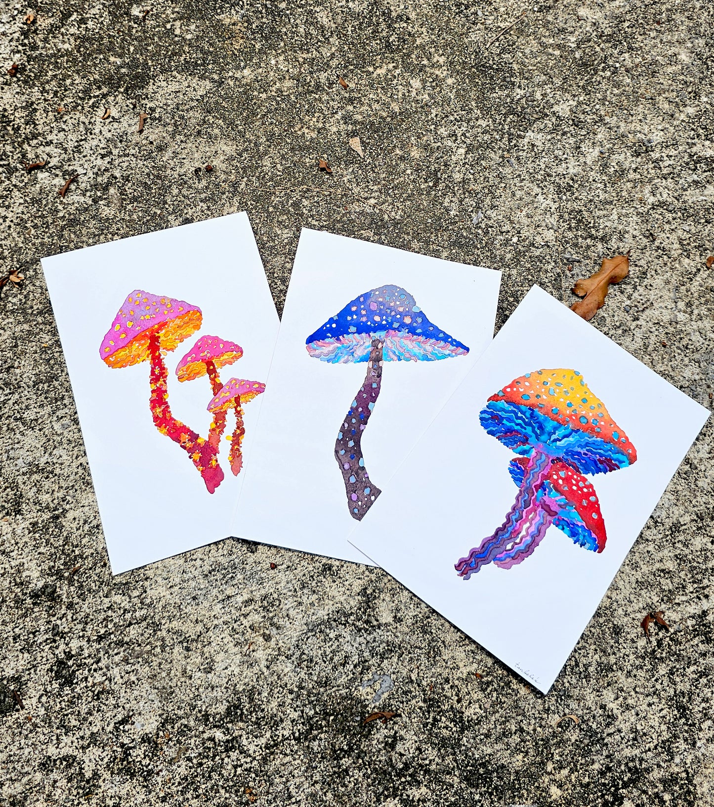 Mushroom Greeting Cards