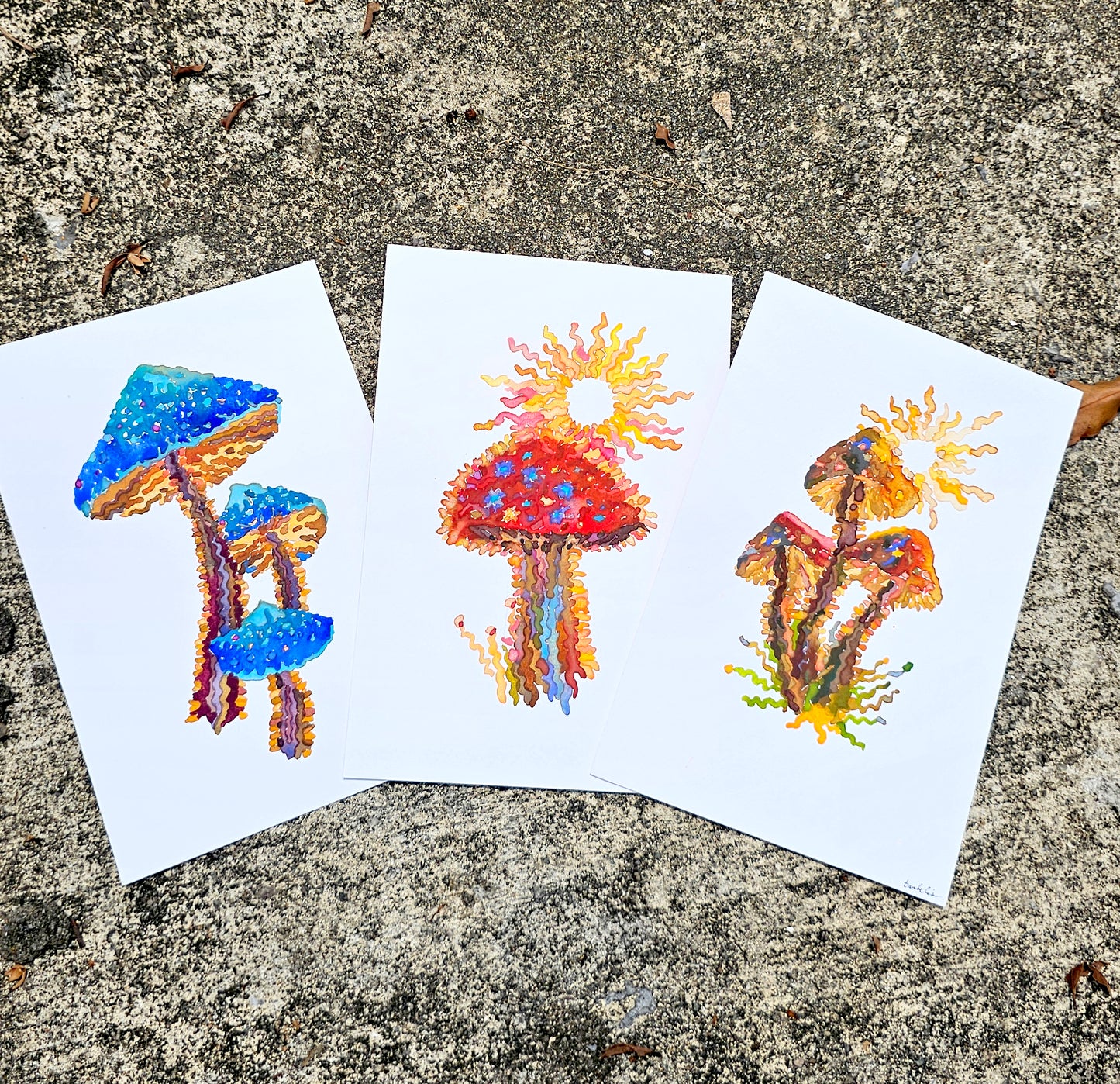 Mushroom Greeting Cards