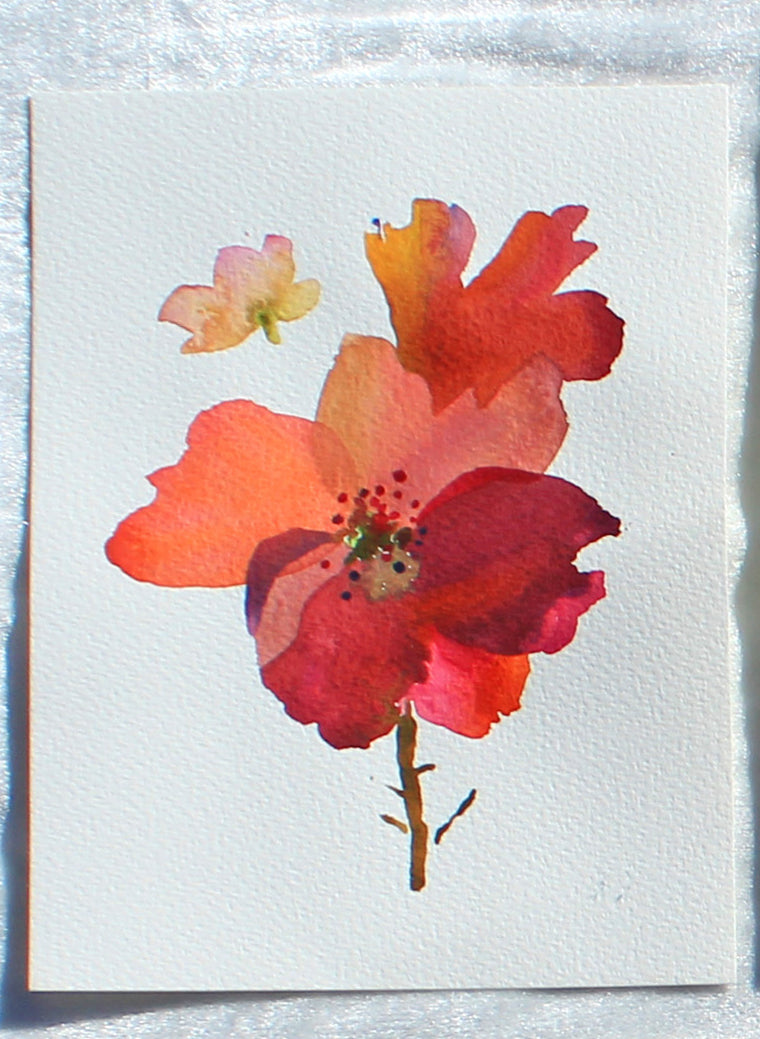Flowers Greeting Cards