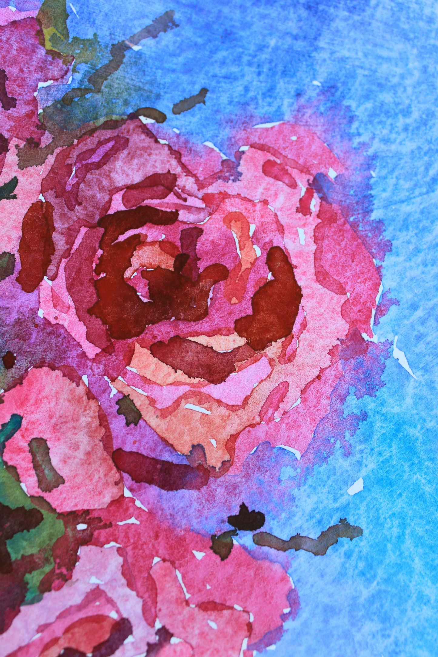 Pink Rose Original Watercolor Flower Painting by Tanbelia