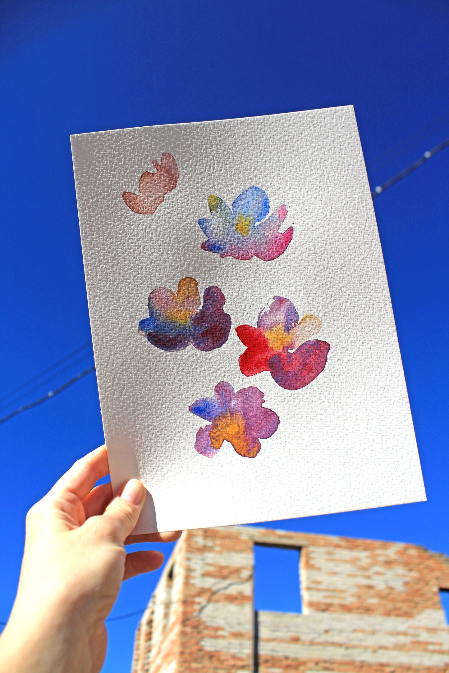 Flowers Greeting Cards