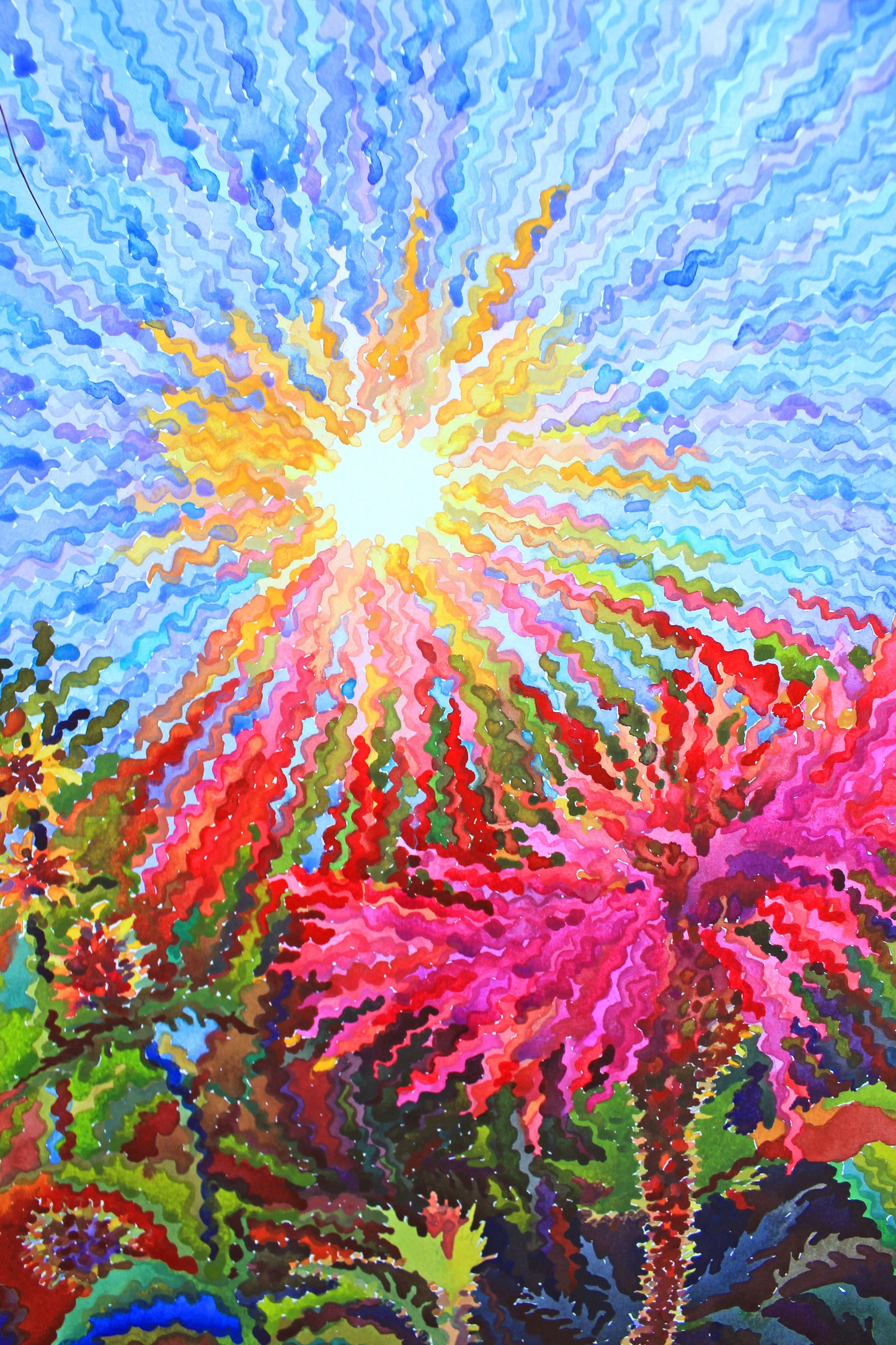 Pink Cornflower Watercolor Painting by Tanbelia