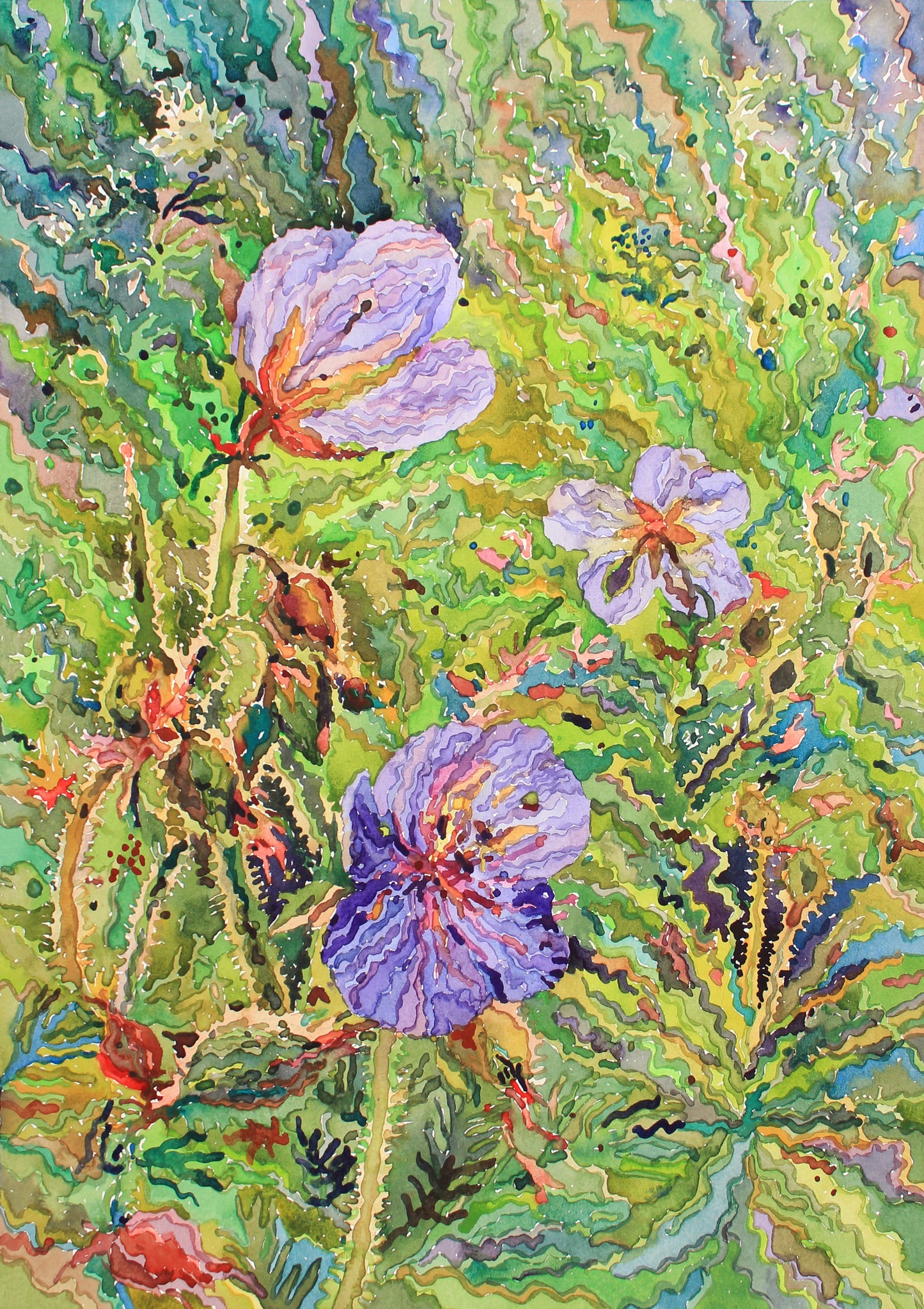 Geranium Flowers Watercolor Print