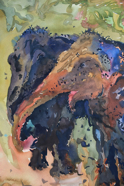 Elephants Watercolor Original Painting by Tanbelia